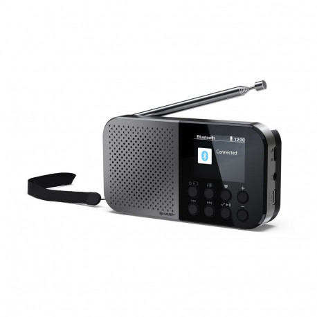 Sharp OSAKA kaasaskantav digitaalne raadio | DR-P520(GY) | Bluetooth