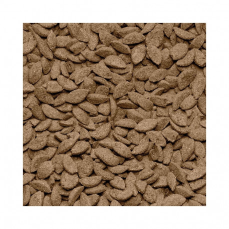 Beaphar Care+ chinchilla toit, 1.5 kg