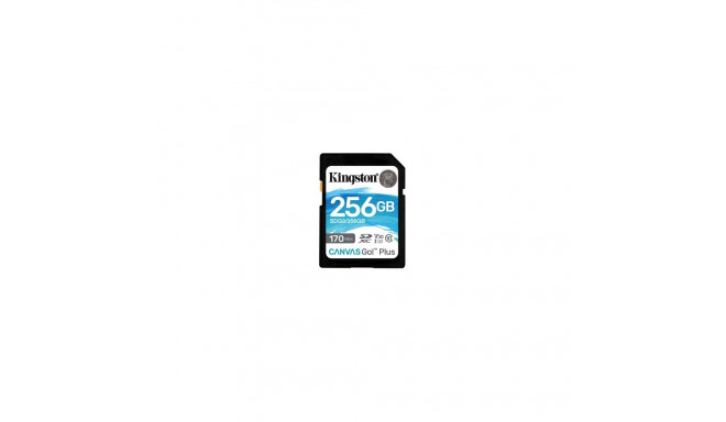 KINGSTON 256GB SDXC Canvas Go Plus 170R
