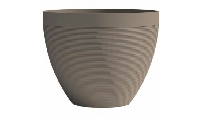 Planter Garden ID