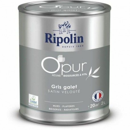 Primer Paint Ripolin Grey Satin finish 2 L