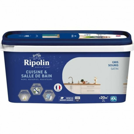 Primer Paint Ripolin Grey Matt 2 L