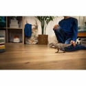Jointed Figure Schleich Carcharodontosaurus Jointed Figure Schleich Carcharodontosaurus