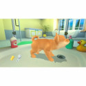 Videomäng Switch konsoolile Microids My Universe : My Baby Collection