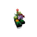 Constructor - LEGO ICONS 10309 Succulents 18+