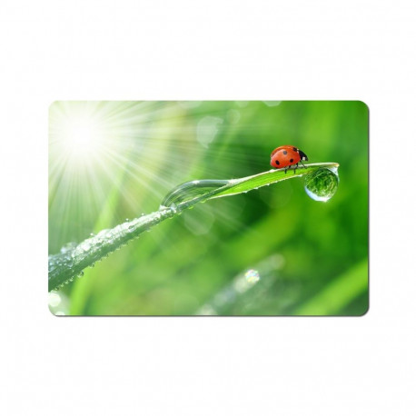 Mouse Pad - Esperanza Ea133 Multicolor