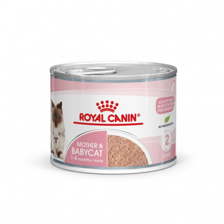 Wet Cat Food - Royal Canin Babycat Instinctive
