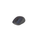 Inca IWM-201RL mouse Office RF Wireless Optical