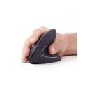 Gembird MUSW-ERGO-01 2.4GHz juhtmevaba optiline hiir USB juhtmevaba ühendus must