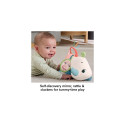 Fisher-Price Planet Friends Tummy Time Roaming Rhino Plush Sensory Toy for Newborn Babies