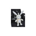 Chicco First Dreams 00011129000000 stuffed toy