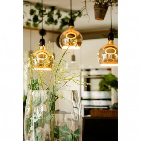 Segula 55058 LED bulb Warm white 1900 K 6 W E27