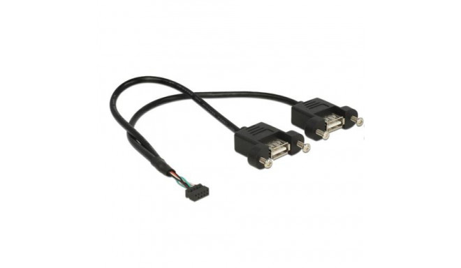 DeLOCK 84832 USB cable USB 2.0 0.25 m 2 x USB A Black