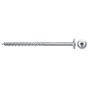 Fischer 561805 screw/bolt 100 pc(s)
