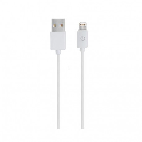 RealPower 255649 lightning cable 1 m White