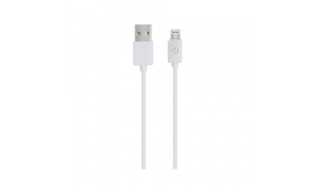 RealPower 255649 lightning cable 1 m White