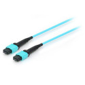 Equip MTP/MTP Trunk Fiber Optic Patch Cable, OM4, 7m