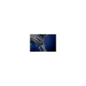 PFERD 11212156 file/rasp