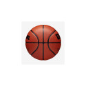 Wilson NBA Authentic Indoor &amp; outdoor Brown
