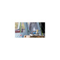 Campingaz Camping Cook CV