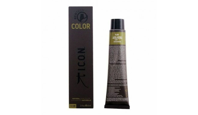 Värvi andev kreem Ecotech Color I.c.o.n.
