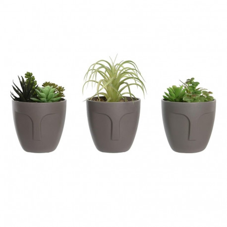 Decorative Plant DKD Home Decor Grey Beige Polyethylene Green polypropylene (11 x 11 x 15 cm) (3 Uni