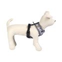 Dog Harness Disney