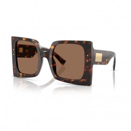 Ladies' Sunglasses Dolce & Gabbana DG 4490