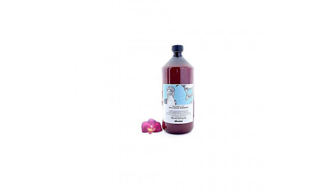 Niisutav šampoon Davines Well-Being 1 L