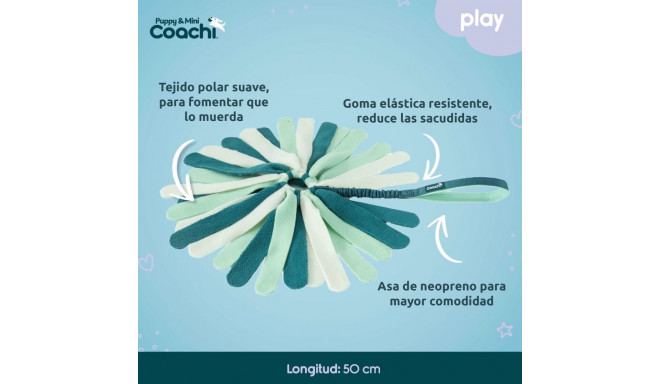 Dog toy Coachi PUPPY & MINI TUGGI SPIDER Green