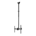 Lauatugi Ekraanile Neomounts CL35-440BL16L 70" 37" 50 kg