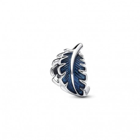 Beads Pandora 792576C01 Silver