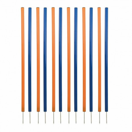 Treeningmänguasi Trixie