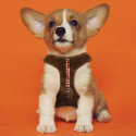 Dog Harness Star Wars Chewbacca Brown M/L