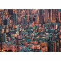 Pusle Clementoni Hong Kong, The Hive