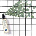 Lõhnavastane juukselakk Phyto Paris Phytodetox 150ml 150 ml Värskendav