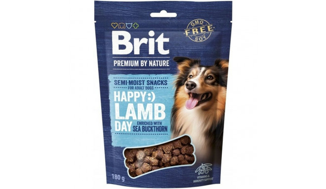 Koera suupiste Brit Lammas 180 g