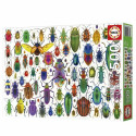 Pusle Educa Beetles