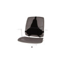 Fellowes Back Support for Office Chair - Professional Series Ultimate Back Support with Antibacteria