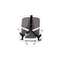 Fellowes Back Support for Office Chair - Professional Series Ultimate Back Support with Antibacteria
