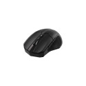 Deltaco MS-776 mouse Right-hand RF Wireless Optical 1600 DPI