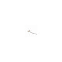 Gembird Foil shielded twisted pair (FTP) LAN cable 100m 8716309078696