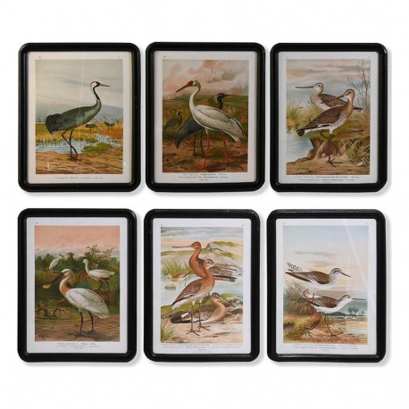 Maal DKD Home Decor Kristall Puit MDF Linnud (40 x 50 x 1,8 cm) (6 Ühikut)