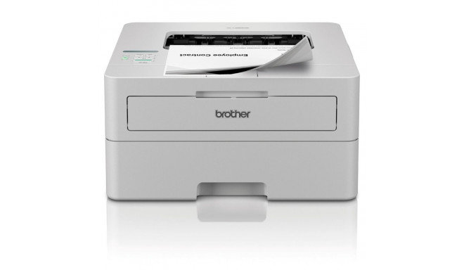 Laserprinter Brother HLL2865DWRE1