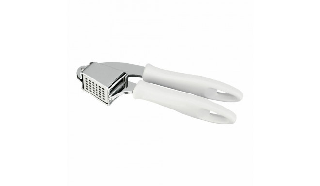 Garlic Press Tescoma Presto Stainless steel