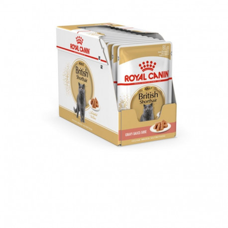 Dog Food - Royal Canin British Shorthair 12x85g