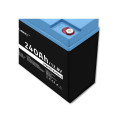LiFePO4 battery 12.8V, 24Ah, 307.2Wh,BM