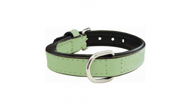 Dog collar Gloria Padded Green (55 x 2,5 cm)