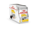 Wet Dog Food - ROYAL CANIN Dermacomfort