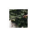 Fiskars 1065488 Watering wand 3-functional, Front control